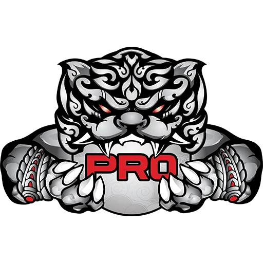 PRO Esports